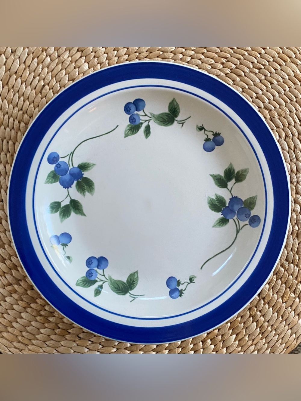 Set 5 Vintage L.L. Bean Blueberry Stoneware Dinner Plates Discontinued